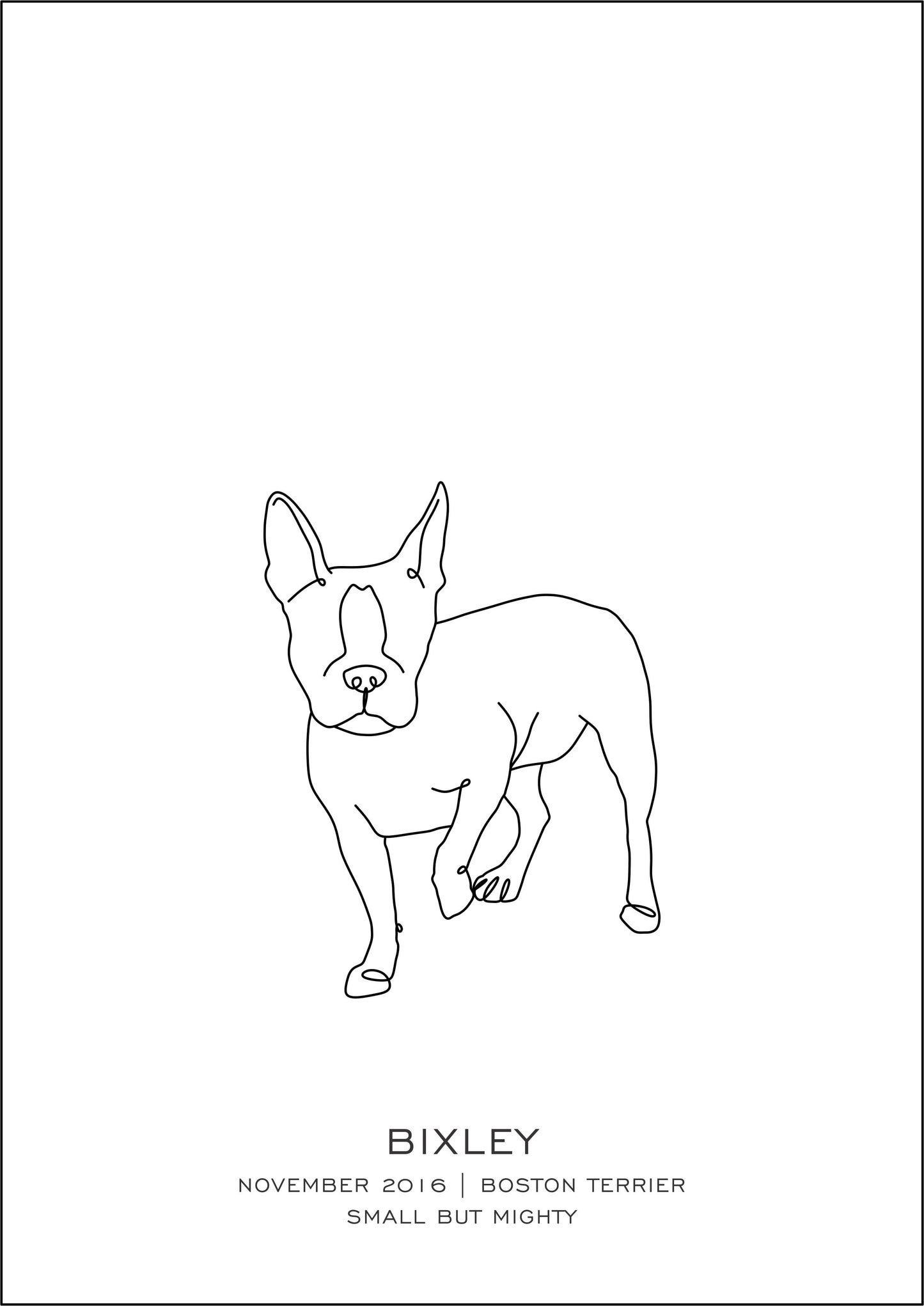 Puppy Prints