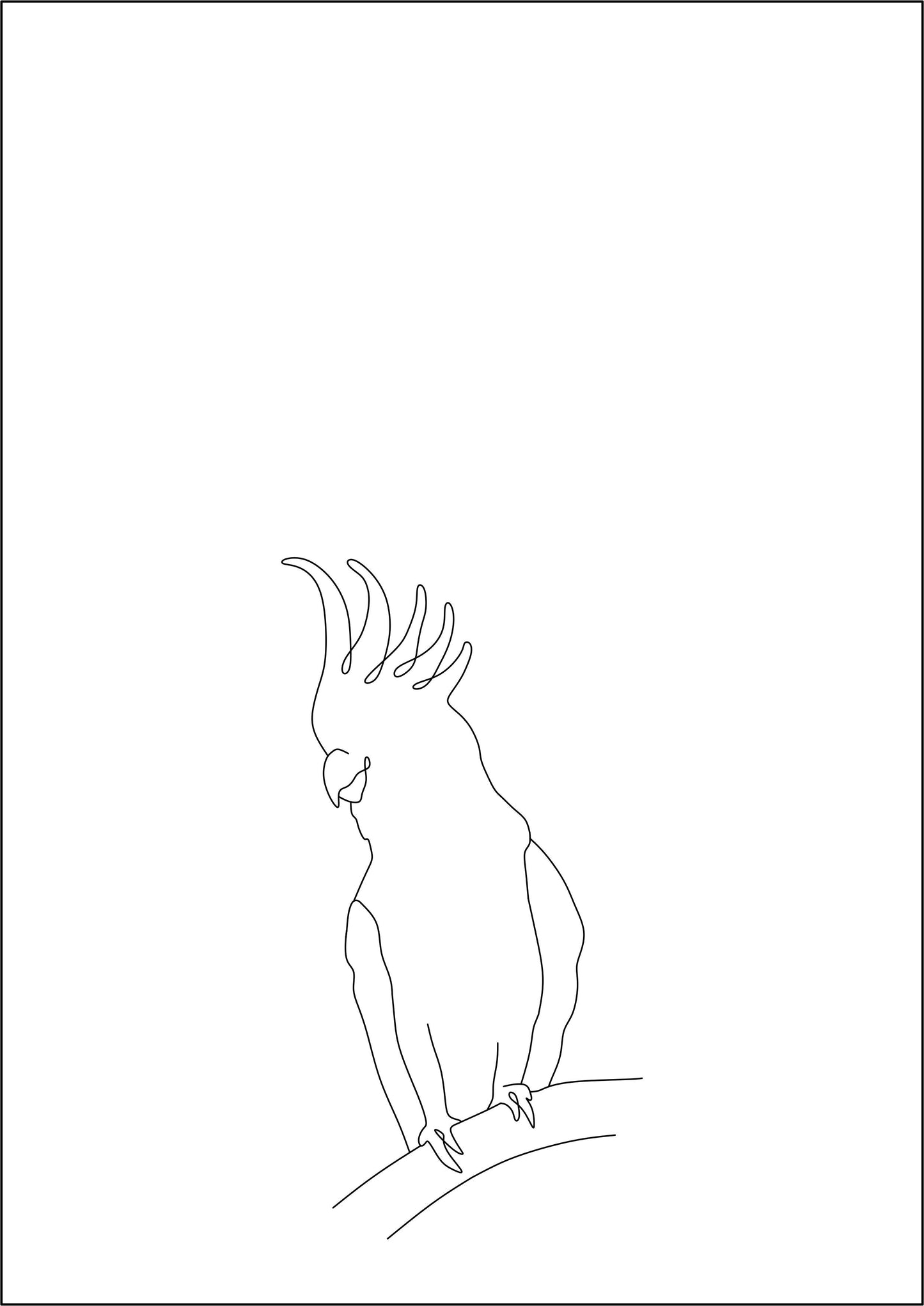 Wildlife Prints