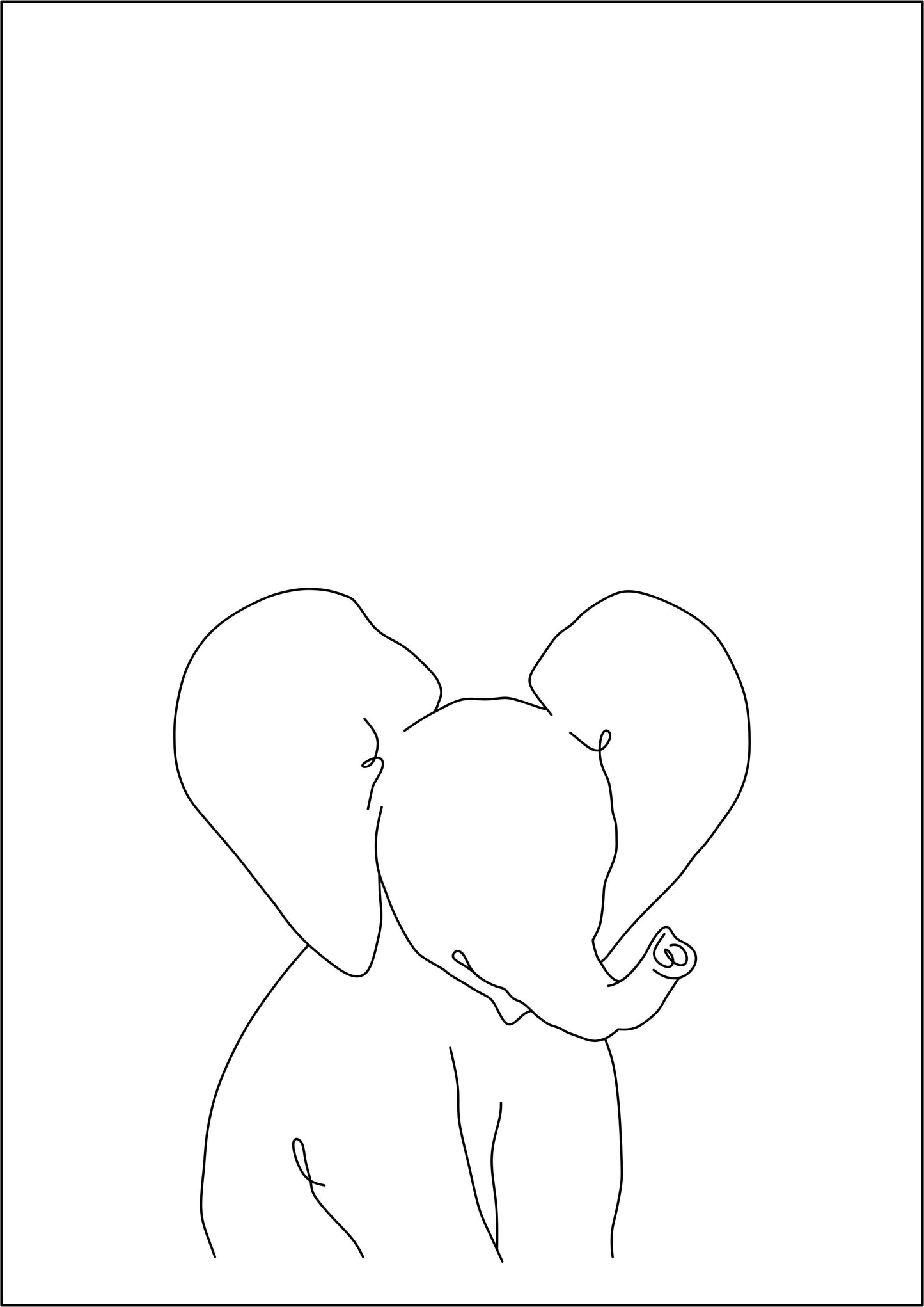 Wildlife Prints