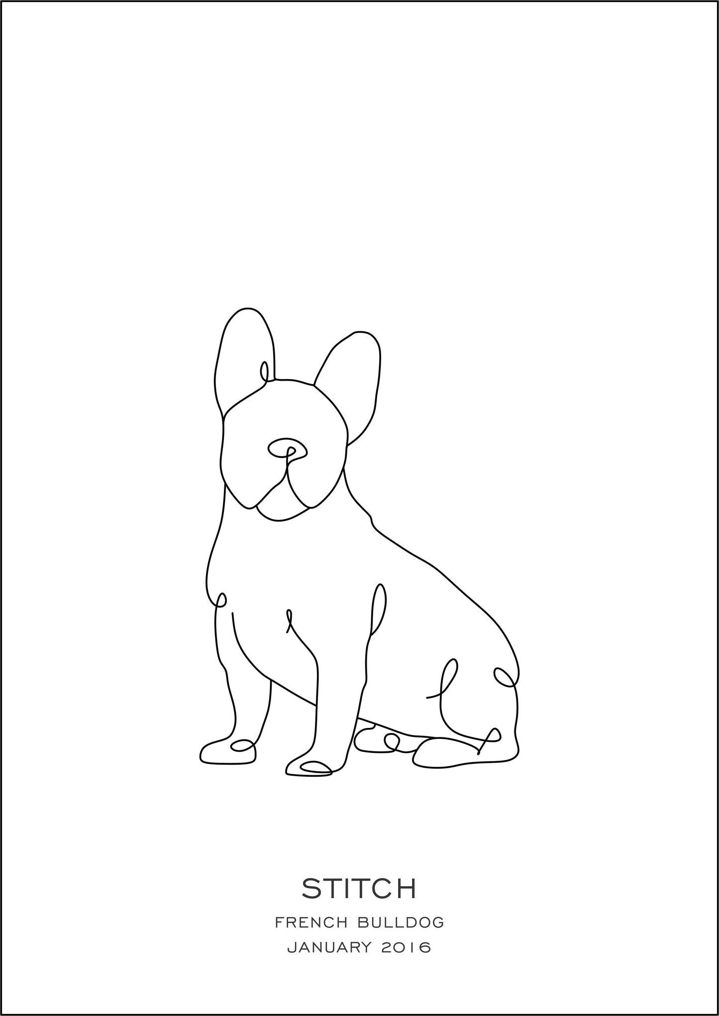 Puppy Prints