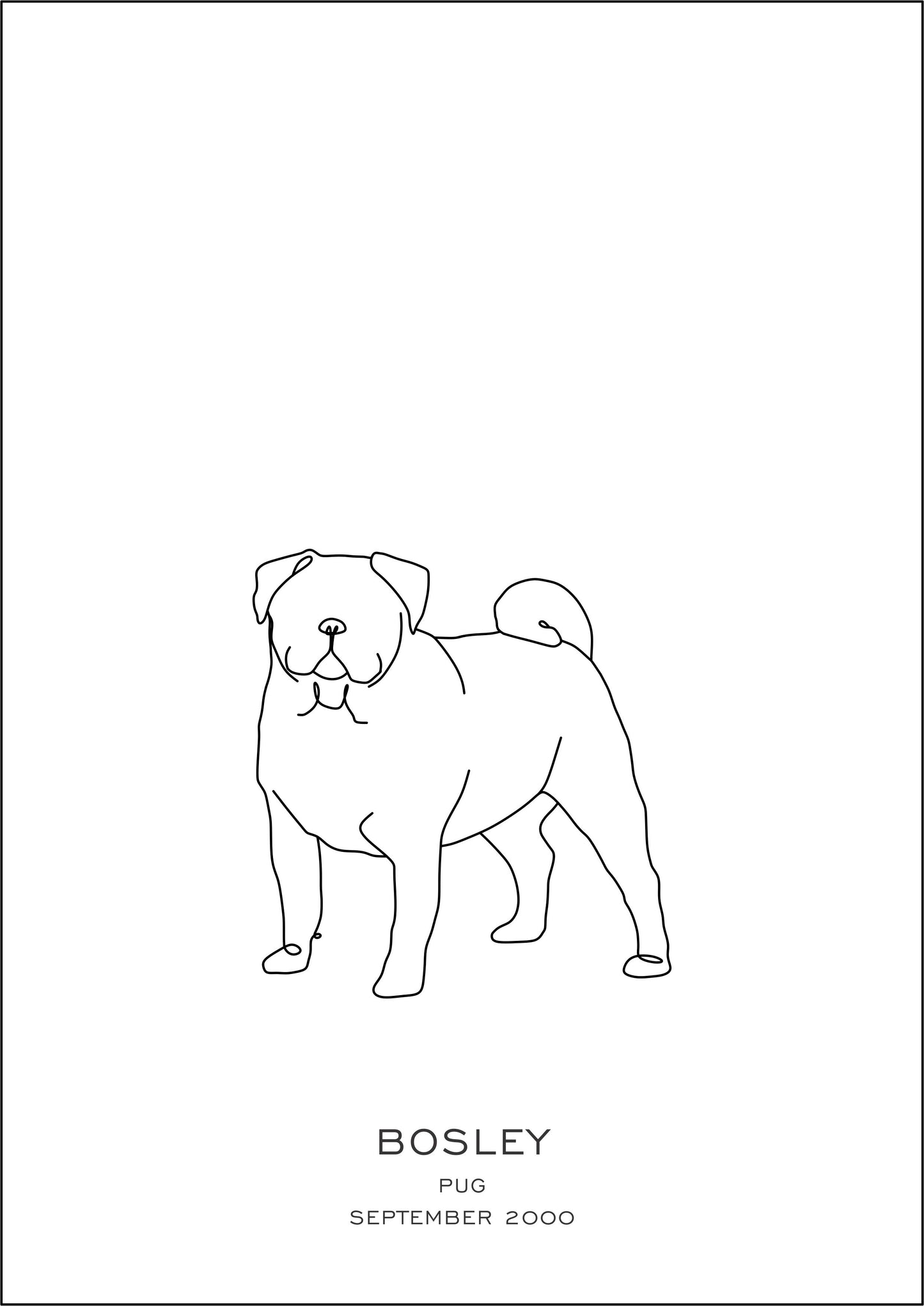Puppy Prints
