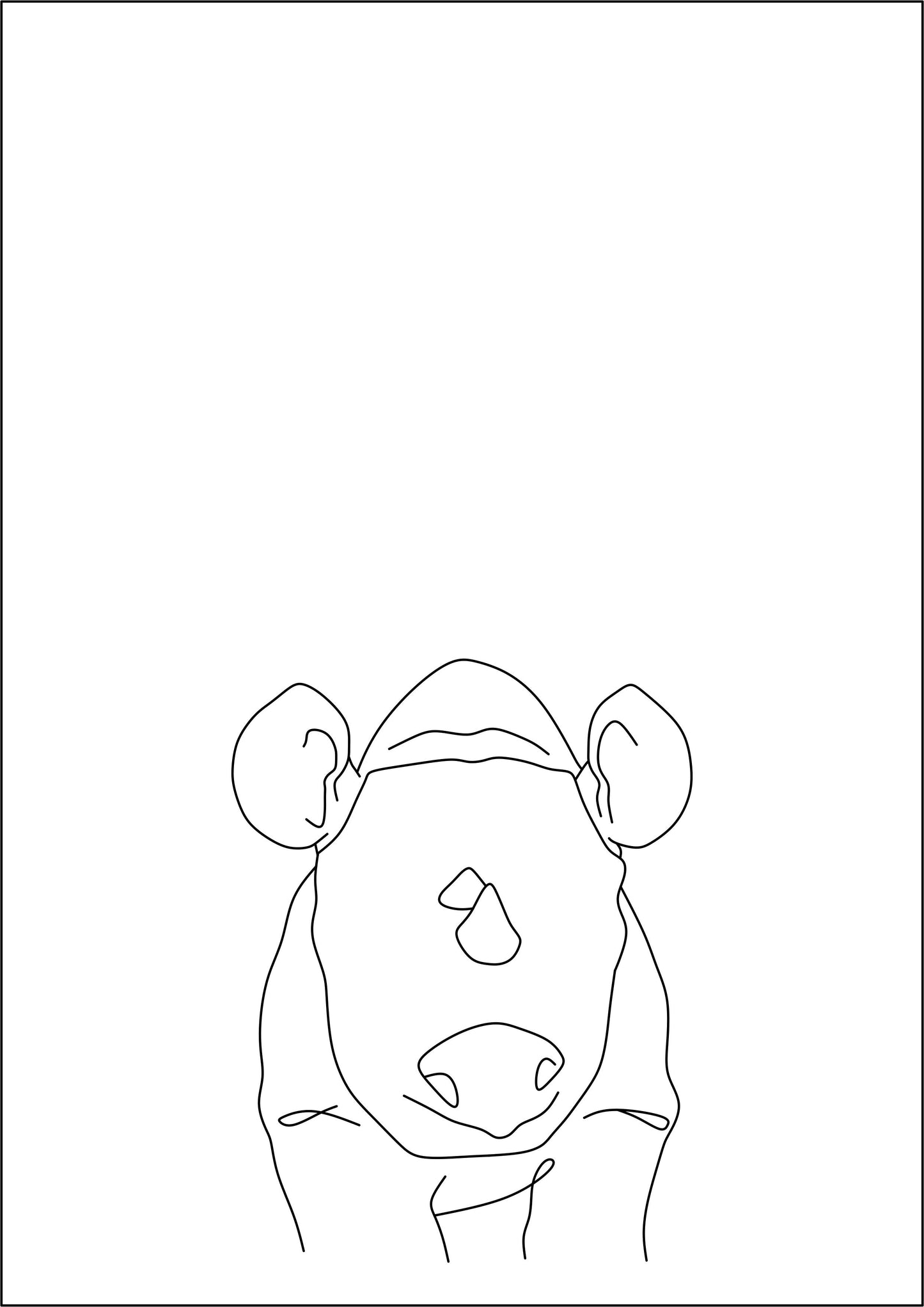 Wildlife Prints
