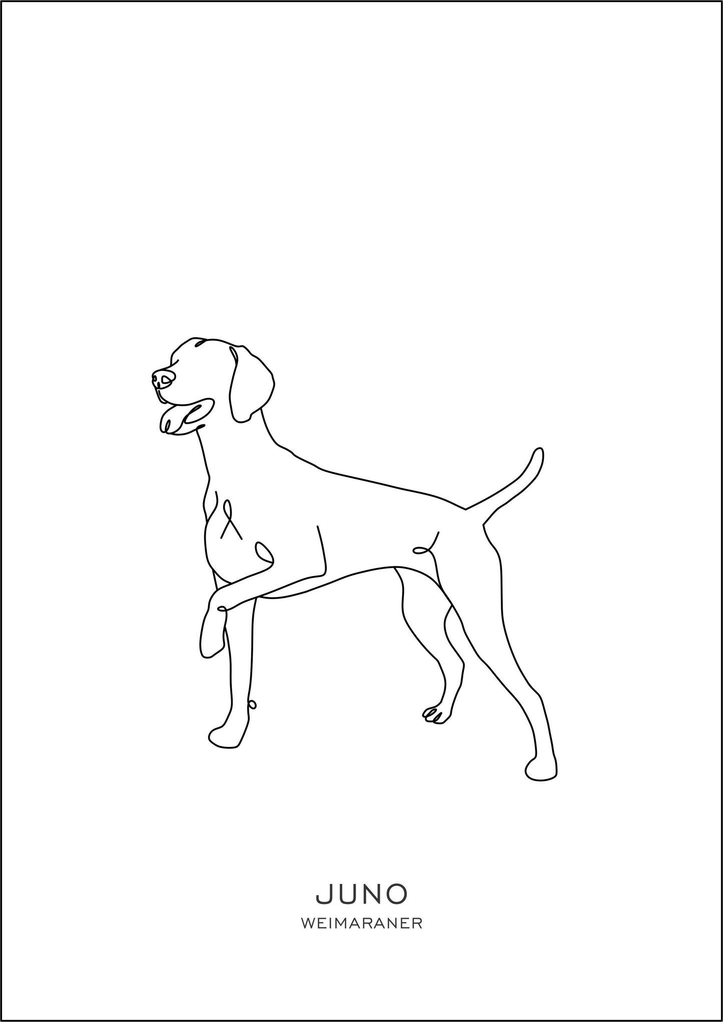 Puppy Prints